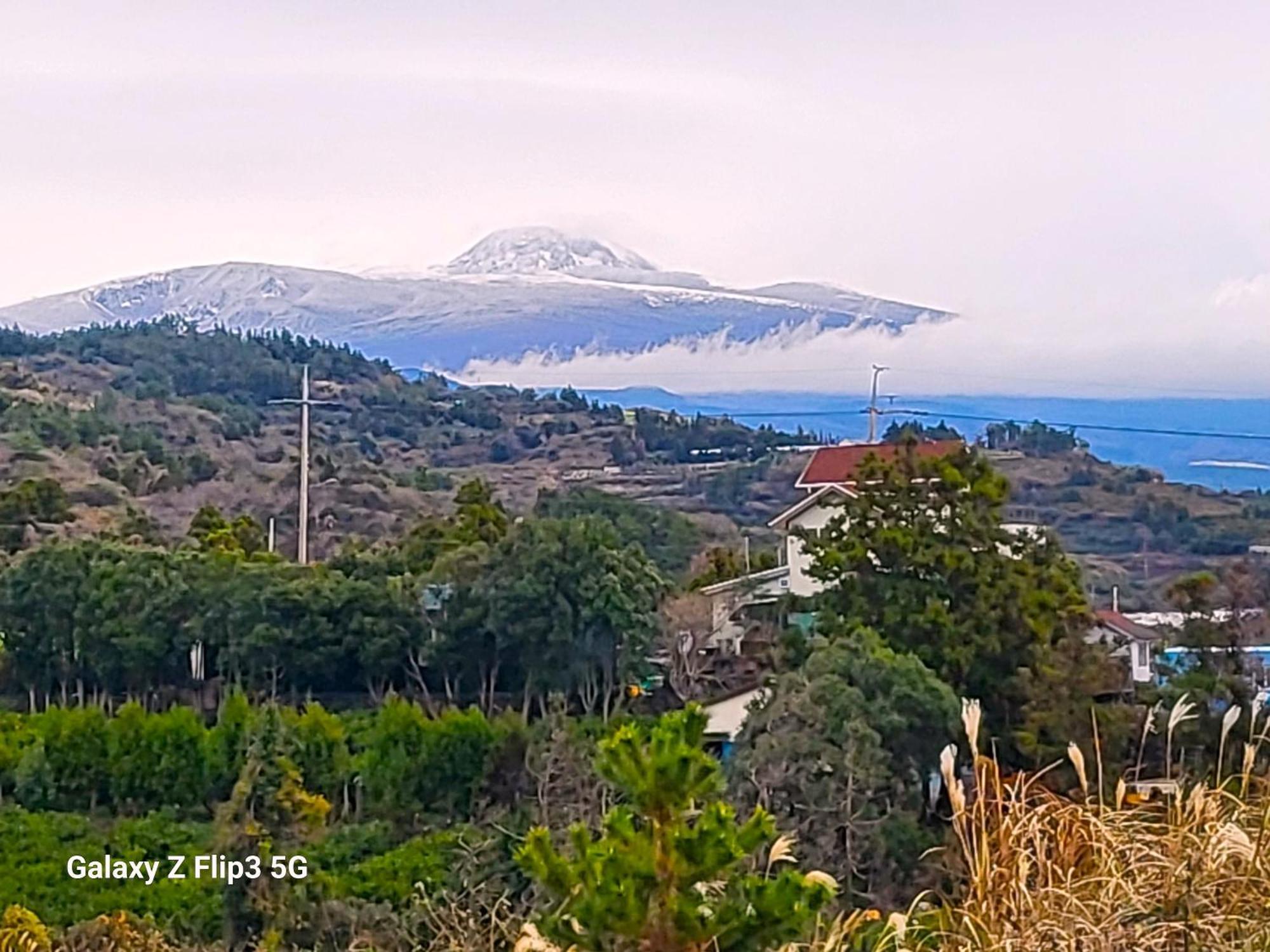 Jubilee Chalet Seogwipo Dış mekan fotoğraf